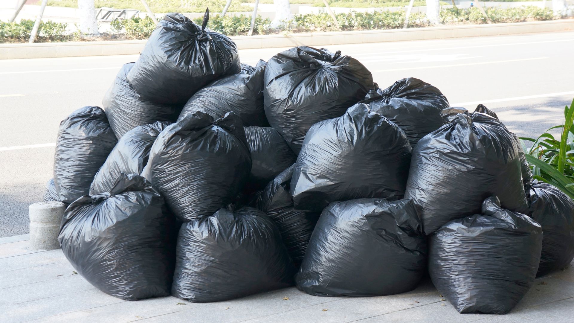 Mid-Morning_ First Collection